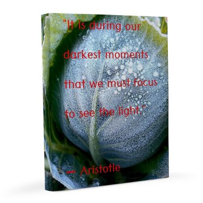 We Must Focus - Aristotle 8x10 Canvas Print