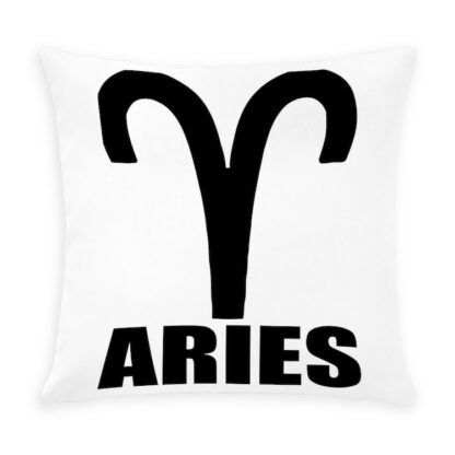 ARIES Outdoor Pillow