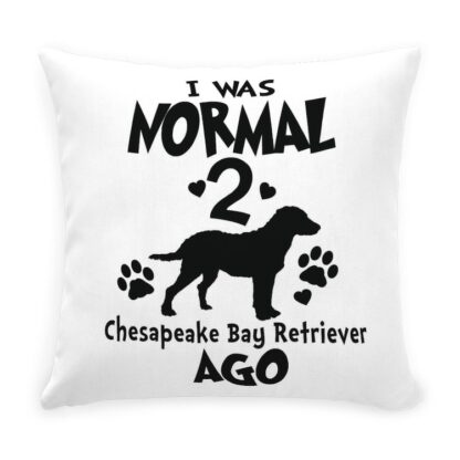 I WAS NORMAL 2 CHESAPEAKE BAY RETRIEVERS AGO Throw Pillow with Zipper