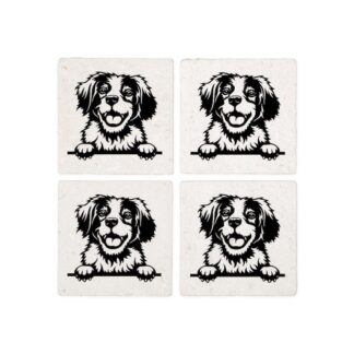 PEEKING BRITTANY SPANIEL Coasters