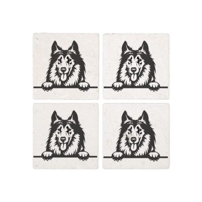 PEEKING COLLIE Coasters