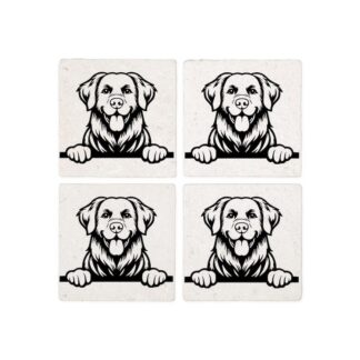 PEEKING CHESAPEAKE BAY RETRIEVER Coasters