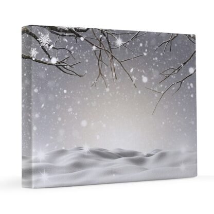 Snowy Scenery 16x20 Canvas Print