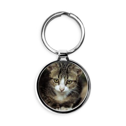 Cute Brown Kitten Circle Keychain