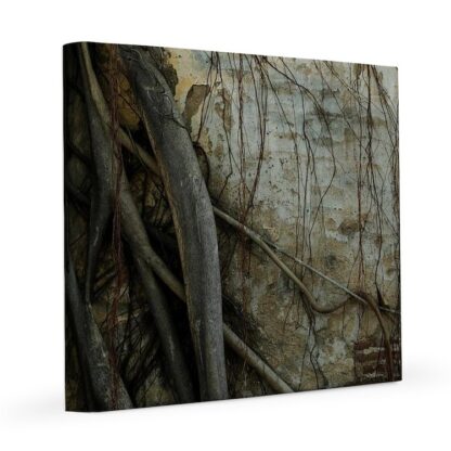 Weathered Brick Wall 8x8 Canvas Print