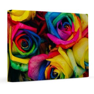 Rainbow Roses 8x10 Canvas Print