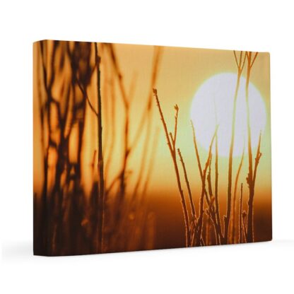 Golden Hour Sunset 11x14 Canvas Print