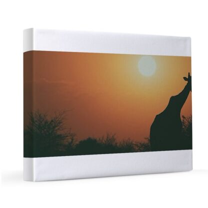 Giraffe Sunset 11x14 Canvas Print