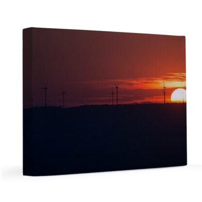 Windmills in the sunset 11x14 Canvas Print