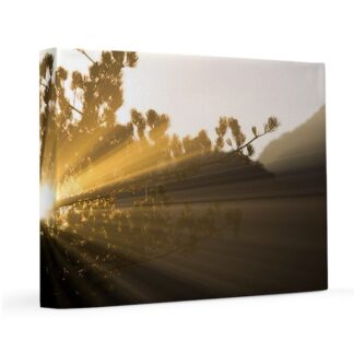 llSunset Landscape 11x14 Canvas Print