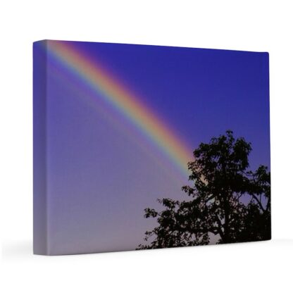 Tree and a rainbow 11x14 Canvas Print