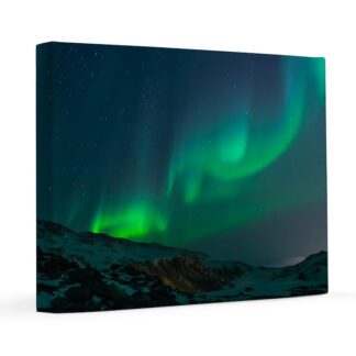 The Northern Lights 16x20 Canvas Print